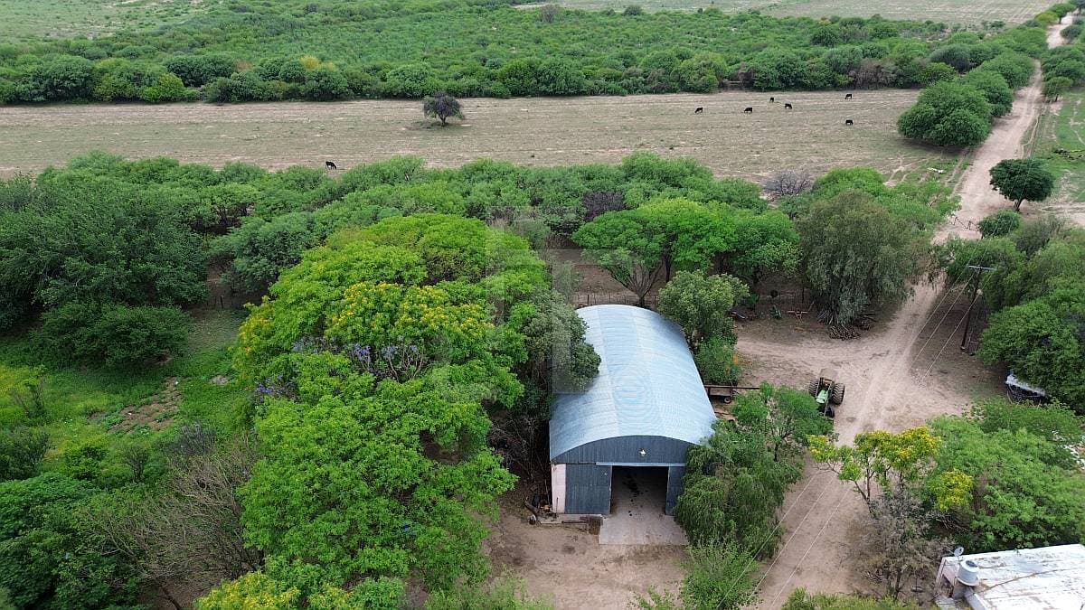Campo Mixto 280 Ha Zona La Cruz - Calamuchita