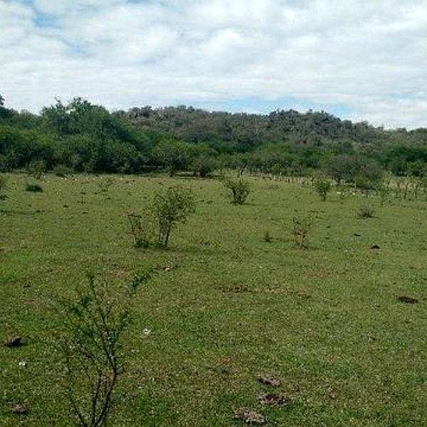 Vendo Campo en Amboy