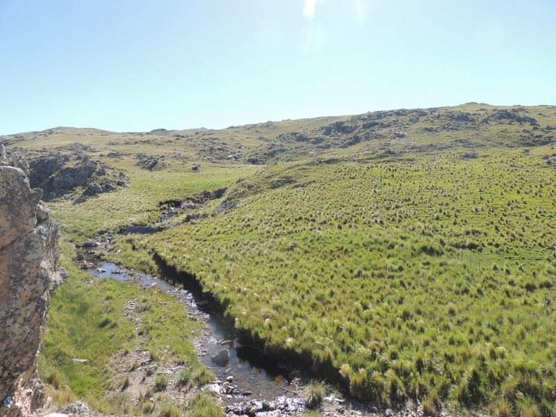 Campo en Cañanda de Alvarez, Calamuchita, Córdoba