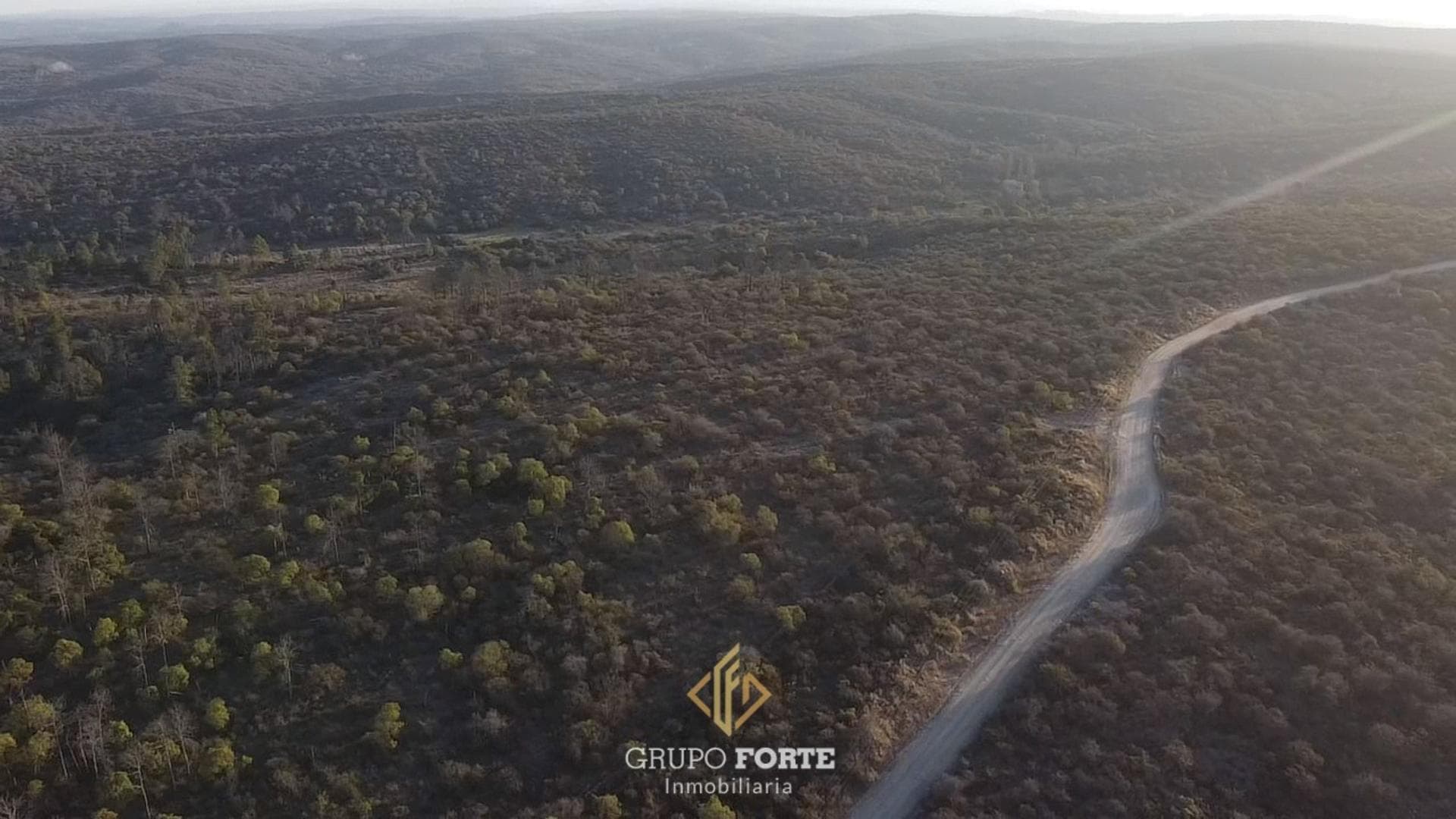 Campo 88 Ha en Villa Cañada del sauce, Cordoba